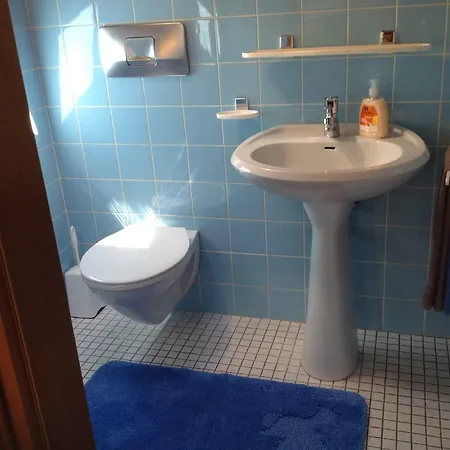 Hoelzl *
