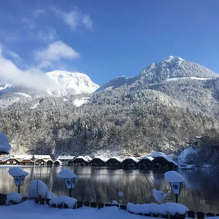 Hoelzl *