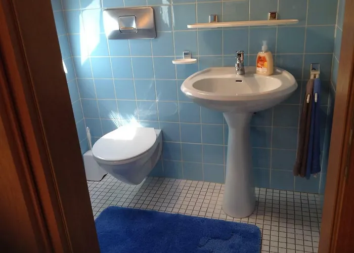 Hoelzl *