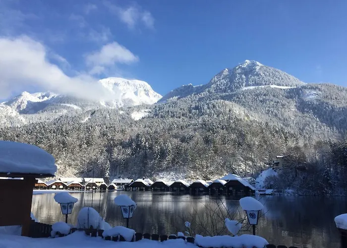 Hoelzl *